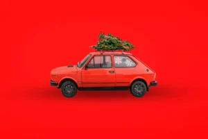 Christmas tree delivery